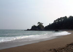 桂浜